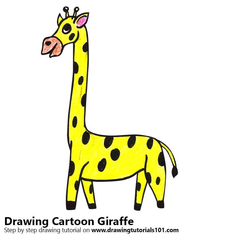 800x800 Learn How To Draw A Cartoon Giraffe - Giraffe Cartoon Drawing