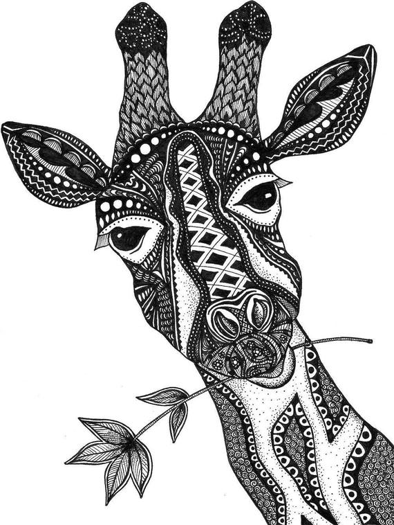 570x758 giraffe print zentangle giraffe drawing art prints black etsy - Giraffe Drawing
