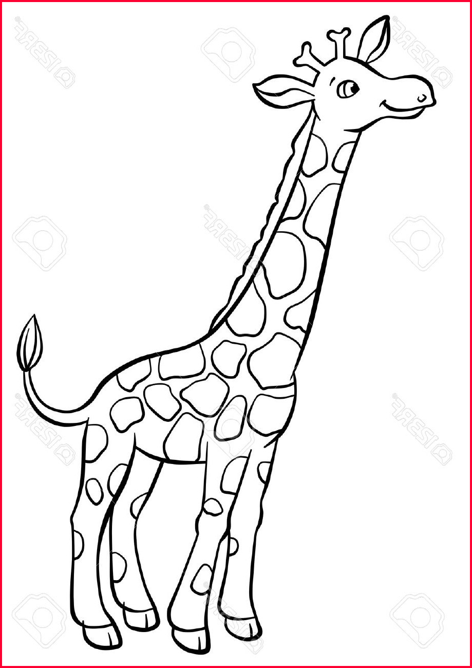 Giraffe Drawing Cute at PaintingValley.com | Explore collection of ...