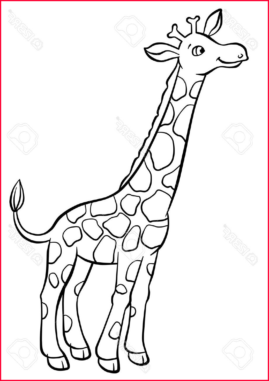 40+ Best Collections Cartoon Easy Cute Baby Giraffe Drawing Sarah