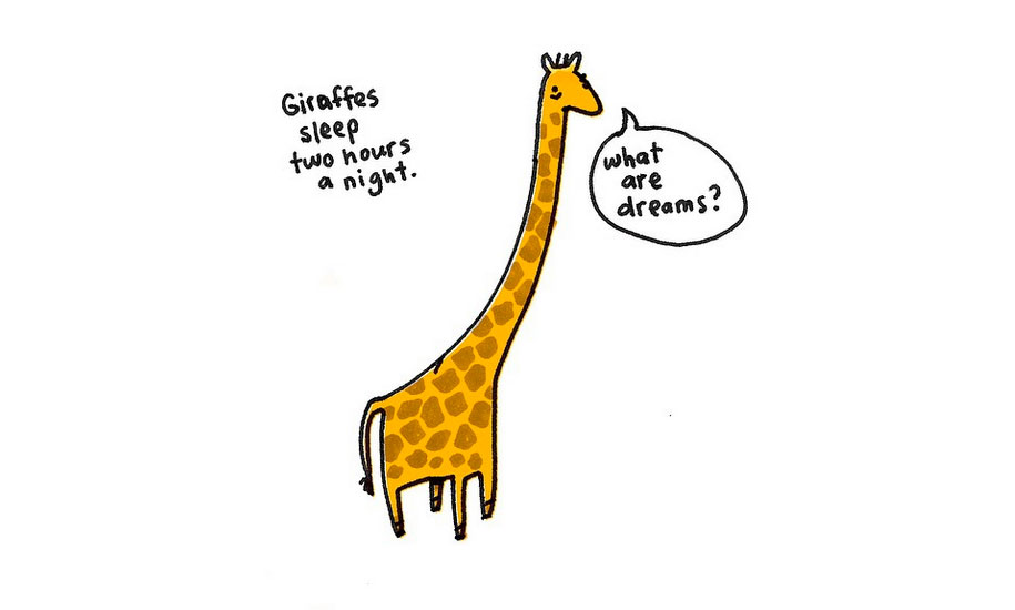 915x550 Sad Animals Facts That'll Make You Slightly Depressed - Giraffe Drawing Cute