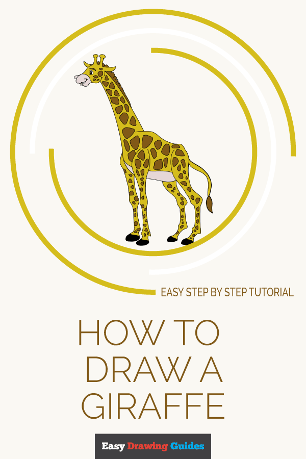 600x900 How To Draw A Giraffe In A Few Easy Steps Easy Drawing Guides - Giraffe Drawing Easy