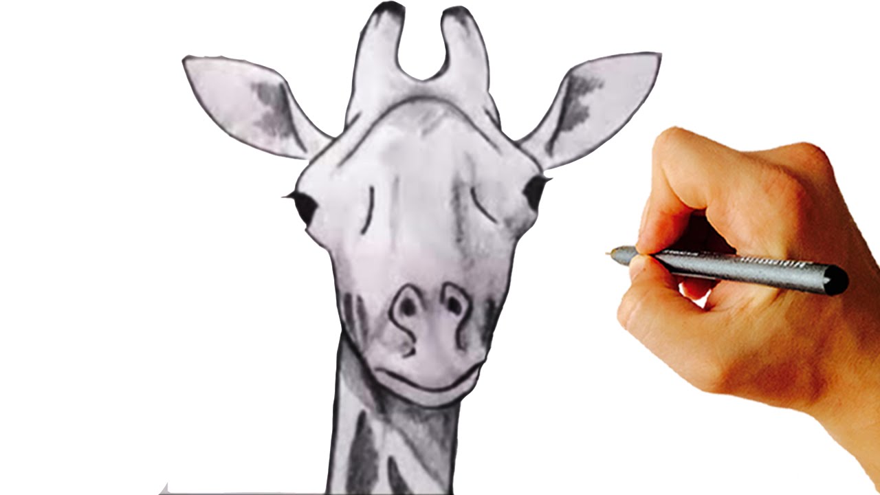 1280x720 How To Draw A Giraffe Very Simple Step - Giraffe Drawing Easy