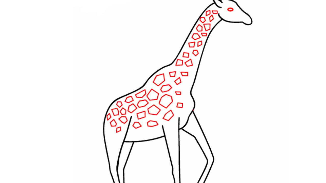 На рисунке изображен жираф. Рисунок жирафа. Рисунок жирафа для детей. Рисунок жирафа для срисовки. Поэтапное рисование жирафа для детей.