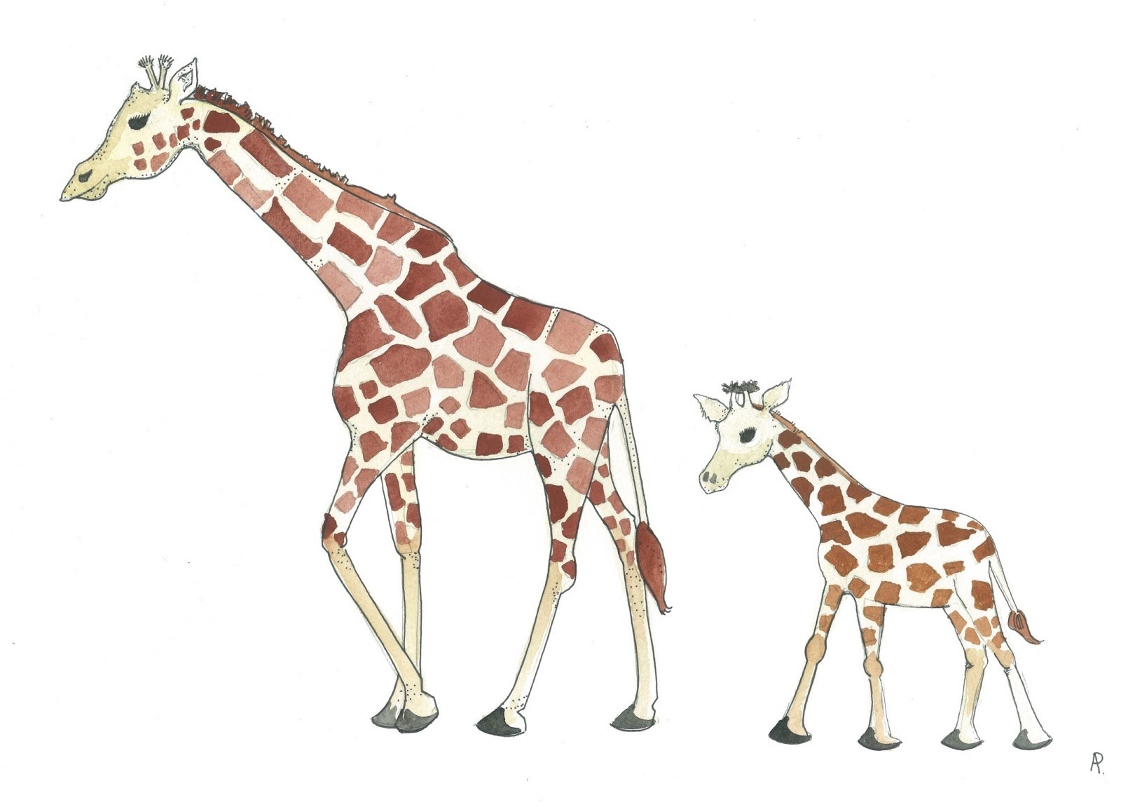 Giraffe Drawing Easy at Explore collection of