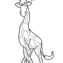 220x220 Giraffe Coloring Pages, Kids Crafts And Activities, Drawing - Giraffe Drawing For Kids