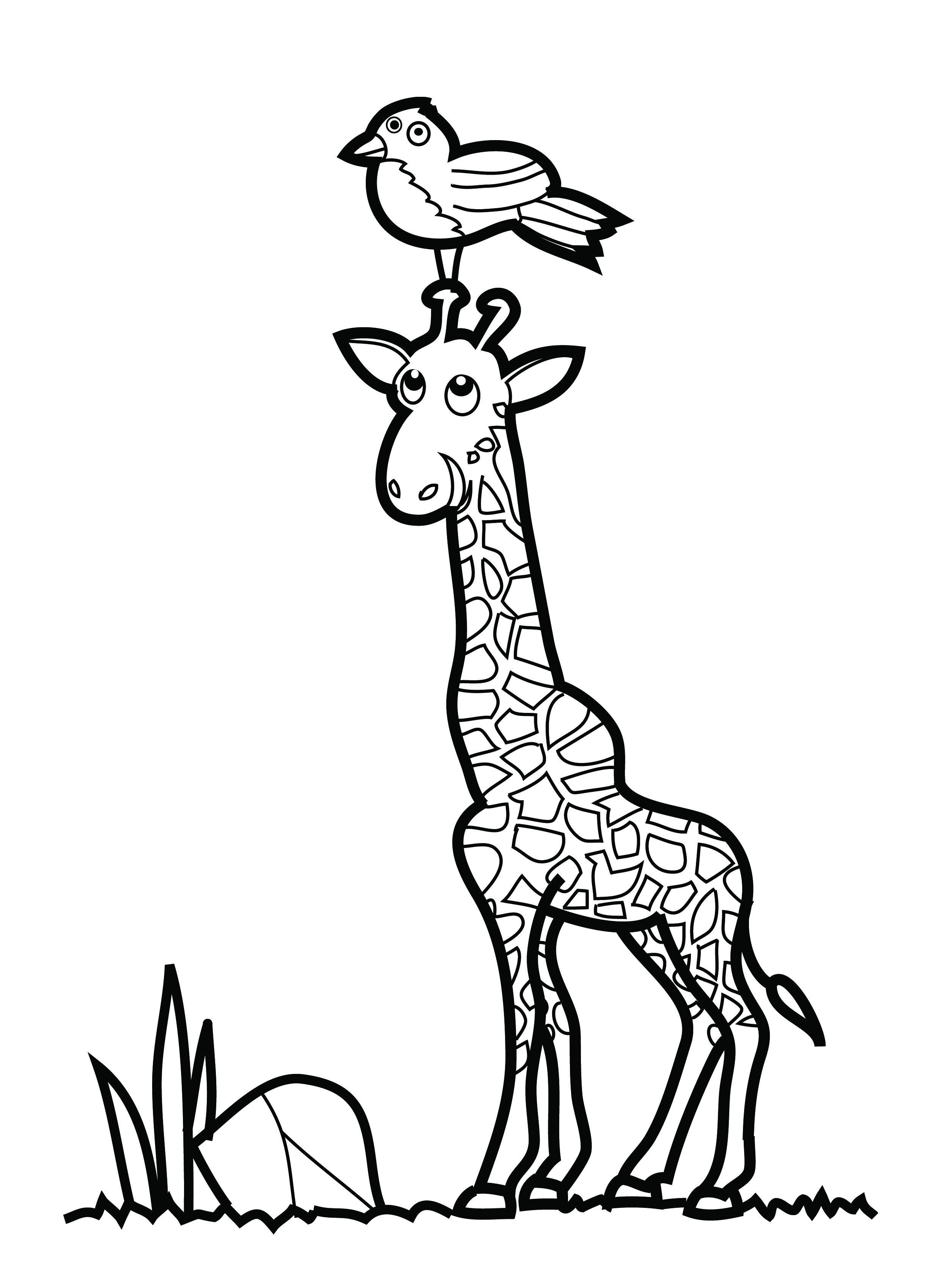 2480x3393 Giraffe Drawing For Kids - Giraffe Drawing For Kids