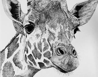 340x270 Giraffe Drawing Etsy - Giraffe Drawing Images