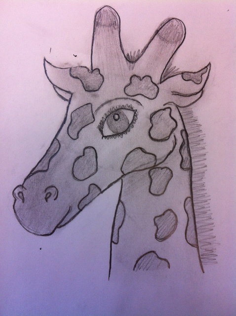 478x640 How To Draw A Giraffe - Giraffe Drawing Images