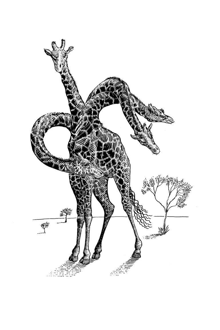 770x1155 Giraffe With Four Heads Drawing - Giraffe Drawing Images