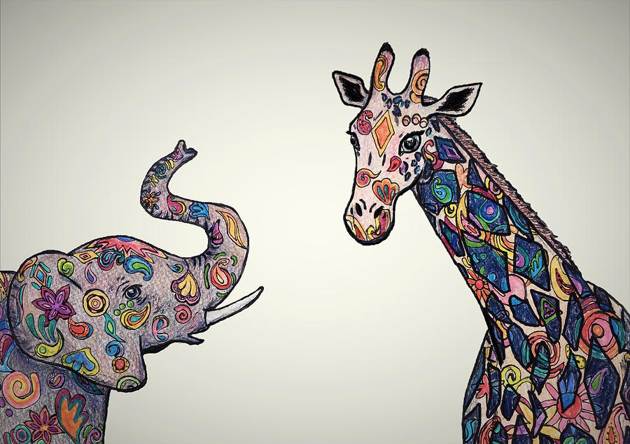 900x635 Giraffe And Elephant Drawing - Giraffe Drawing Images