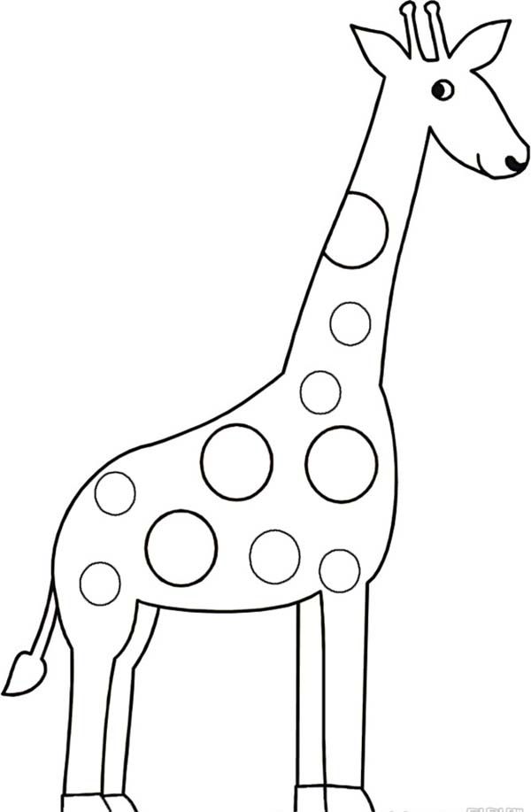 Giraffe Drawing Outline at PaintingValley.com | Explore collection of