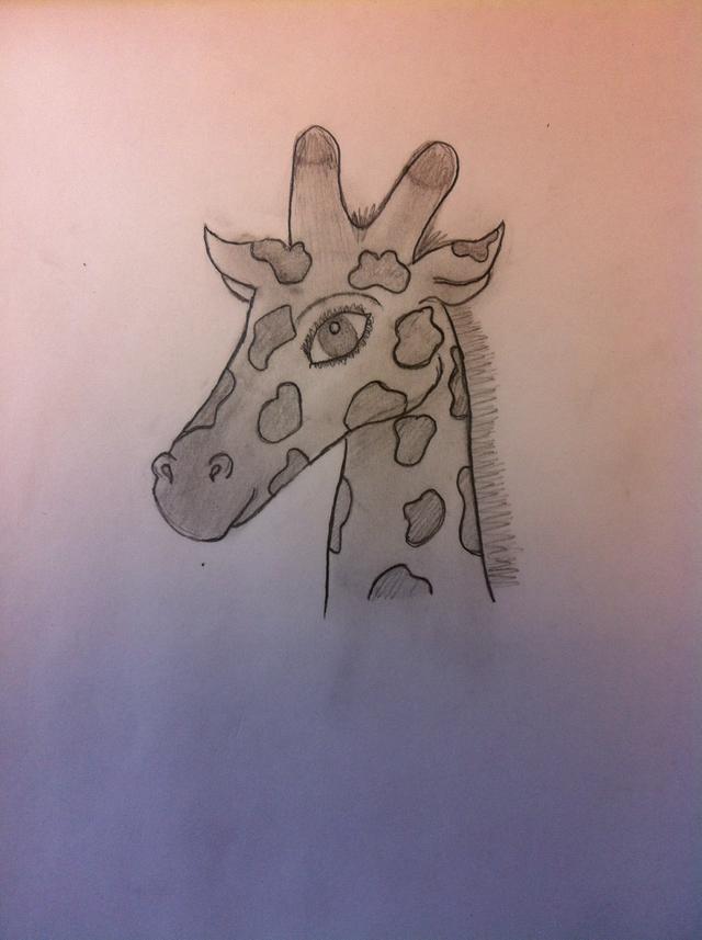 640x857 How To Draw A Giraffe - Giraffe Drawing Outline