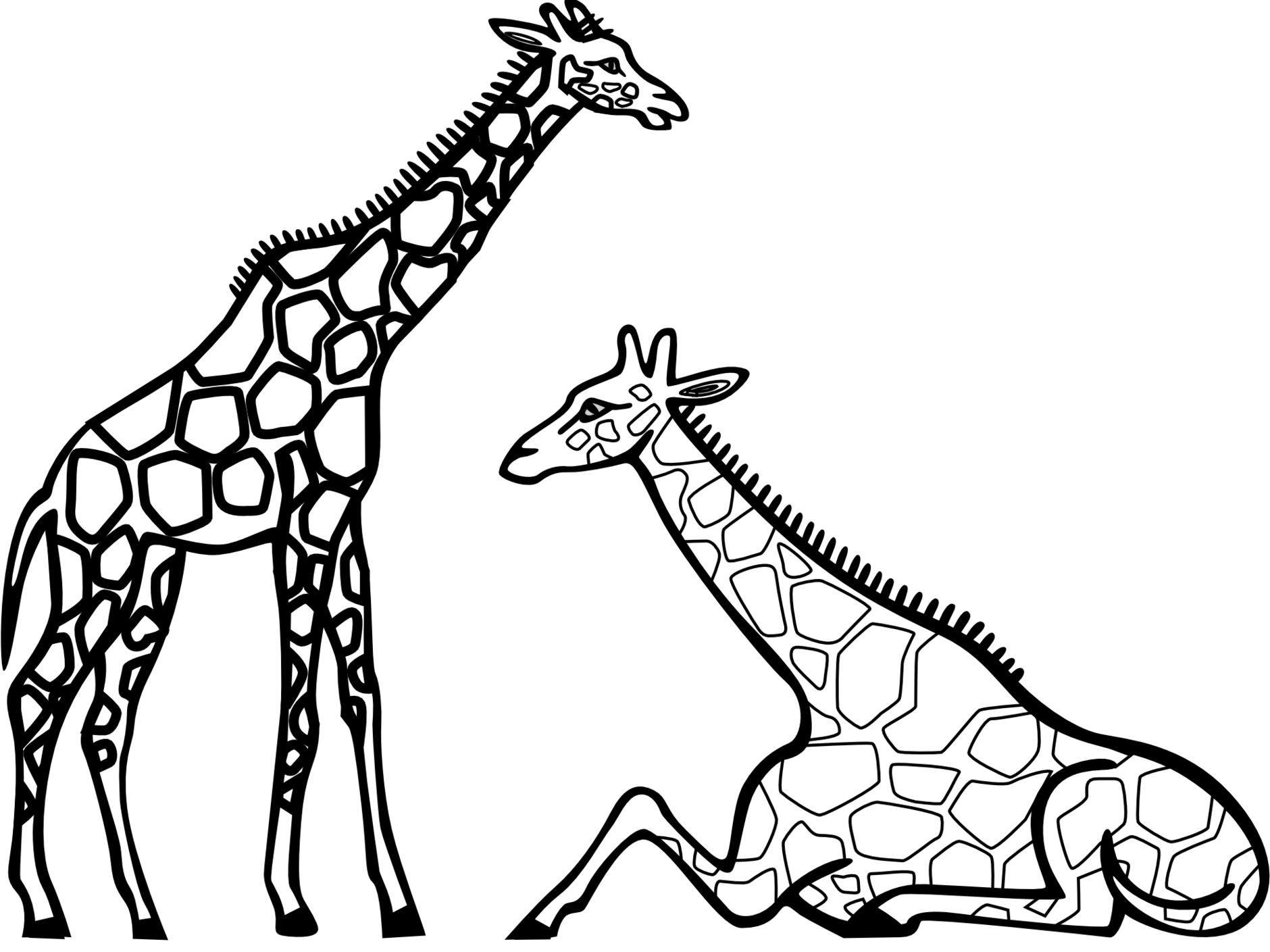 1880x1409 Giraffe Clipart Black And White Outline Png - Giraffe Drawing Outline
