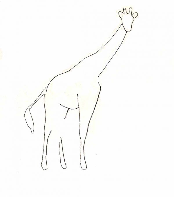 600x680 Best Photos Of Giraffe Outline Clip Art - Giraffe Drawing Outline