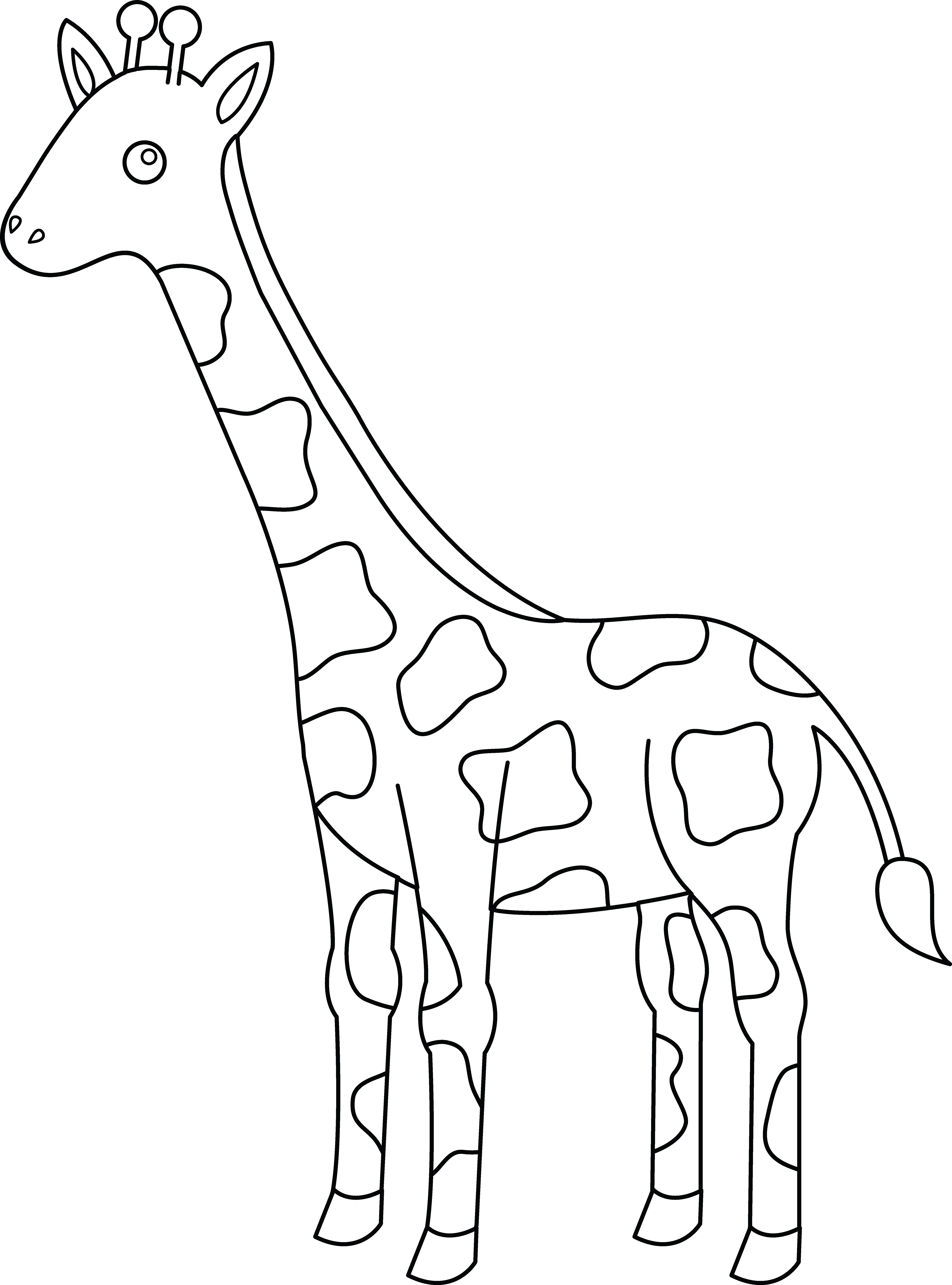 Giraffe Drawing Outline at PaintingValley.com | Explore collection of