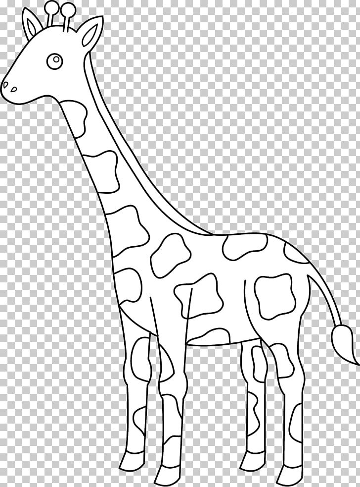 728x983 Giraffe Drawing Black And White Animal Head Outline Giraff Png - Giraffe Drawing Outline
