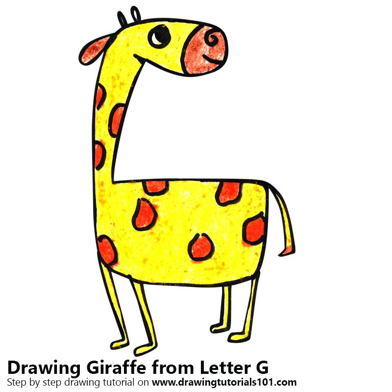 800x800 how to draw a giraffe with how to draw a giraffe from letter g - Giraffe Face Drawing