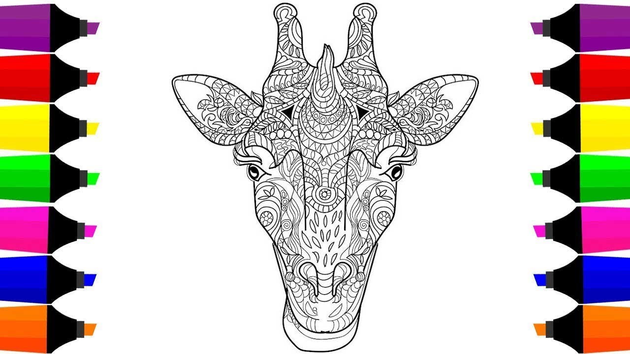 1280x720 How To Draw Giraffe Step - Giraffe Face Drawing