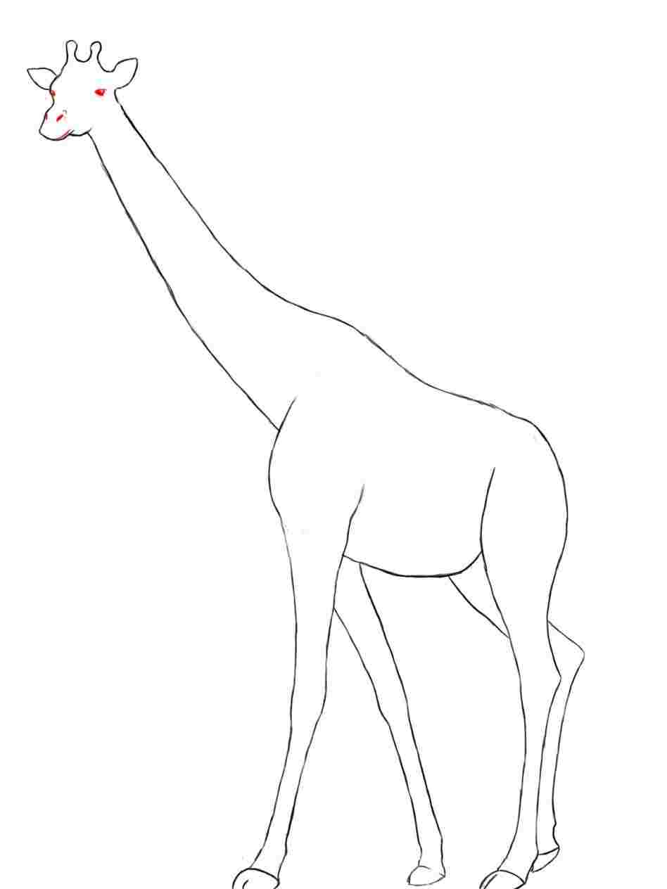 948x1264 project animals rhlearningmojowordpresscom project giraffe face - Giraffe Face Drawing
