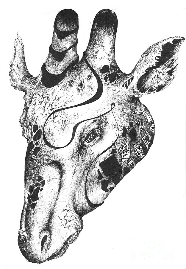 625x900 Giraffe Head Drawing - Giraffe Head Drawing