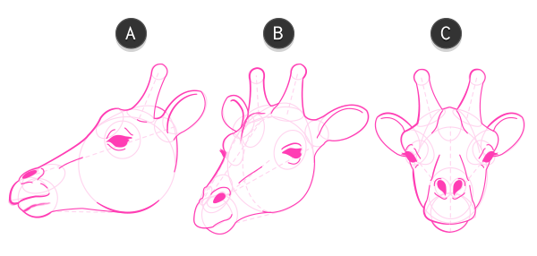 600x286 how to draw animals zebras and giraffes - Giraffe Head Drawing