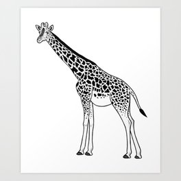 264x264 Giraffe Drawing Art Prints - Giraffe Images Drawing