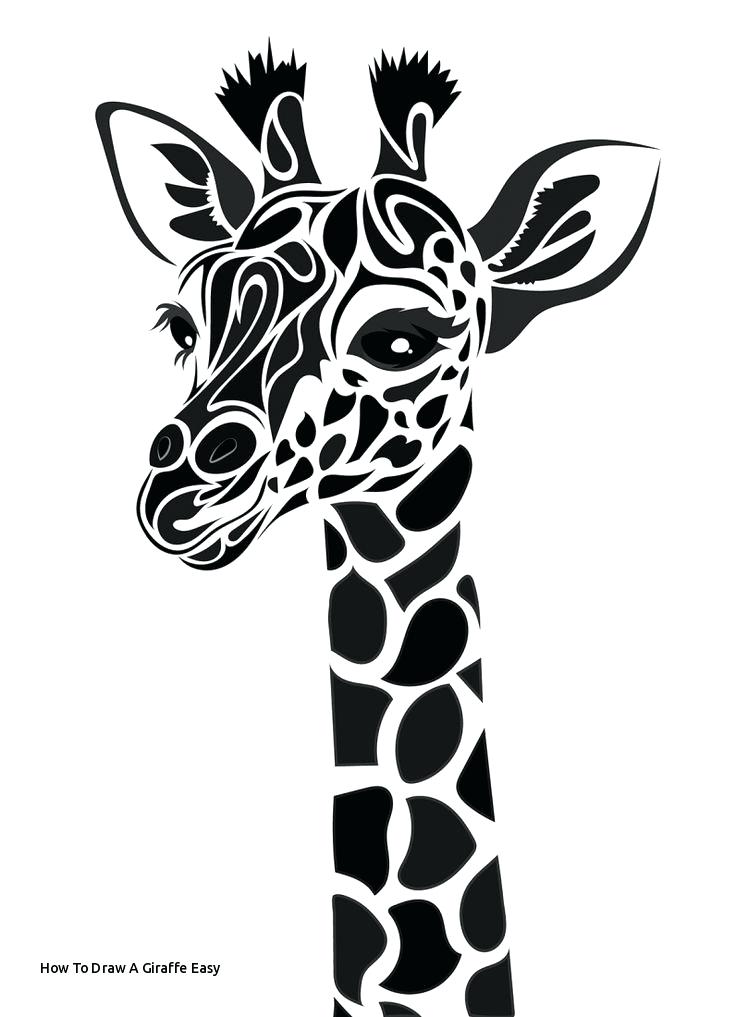 736x1017 Giraffes Drawings How To Draw A Giraffe Easy Funny Drawing - Giraffe Images Drawing