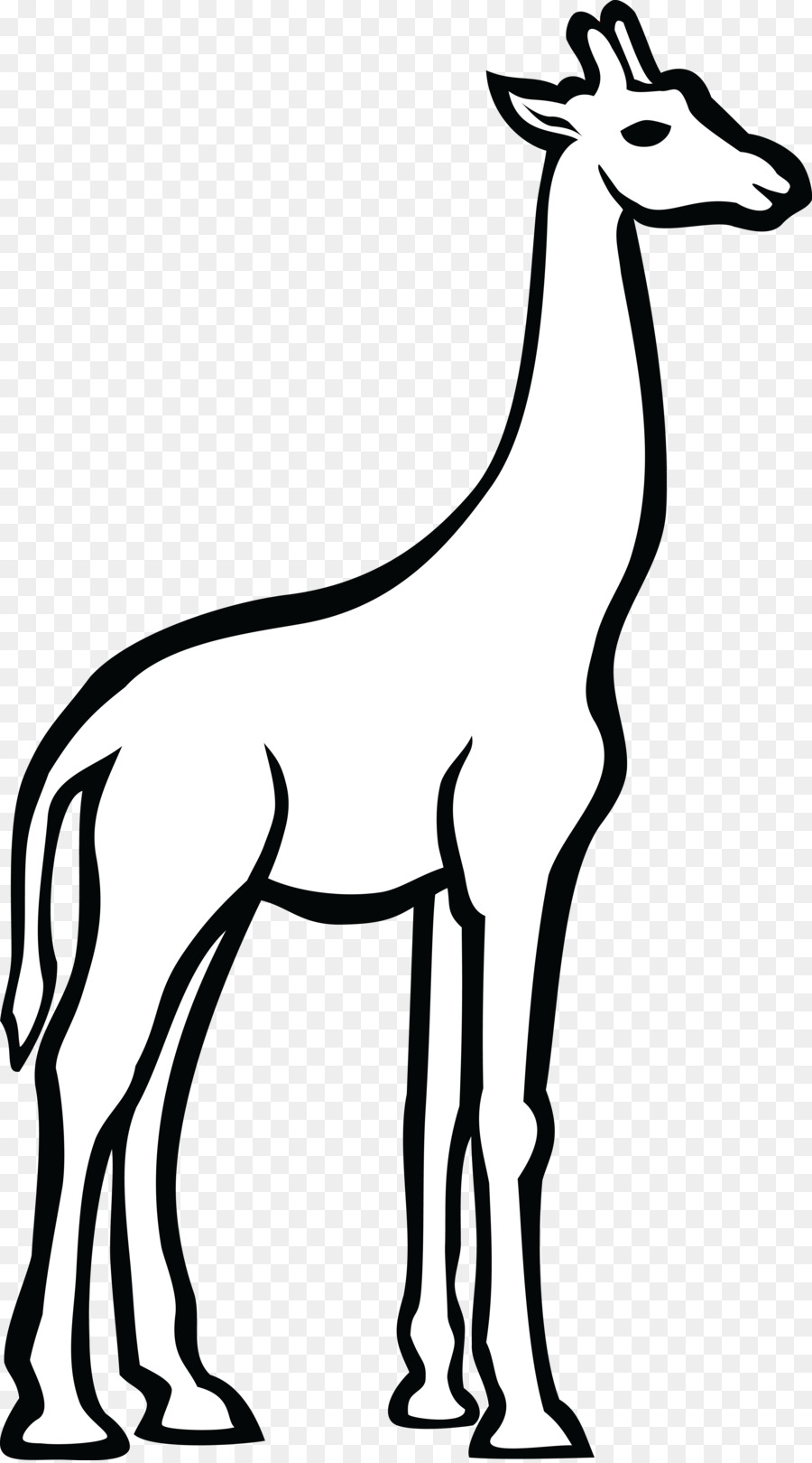 900x1620 Giraffe, Drawing, Graphics, Transparent Png Image Clipart Free - Giraffe Line Drawing