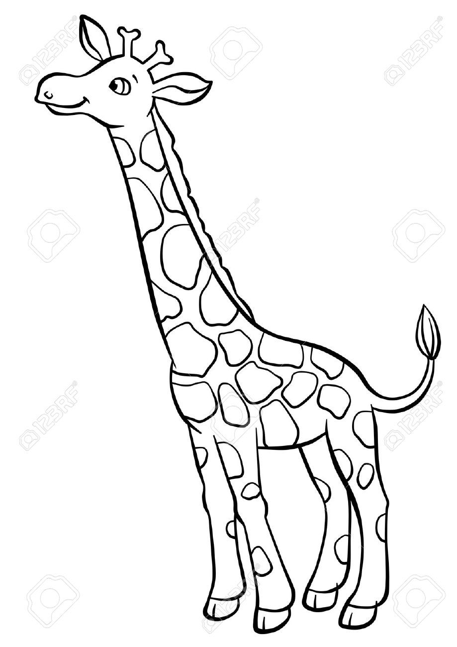 Giraffe Line Drawing at Explore collection of