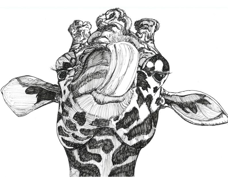 794x623 Licking Giraffe Line Drawing Etsy - Giraffe Line Drawing