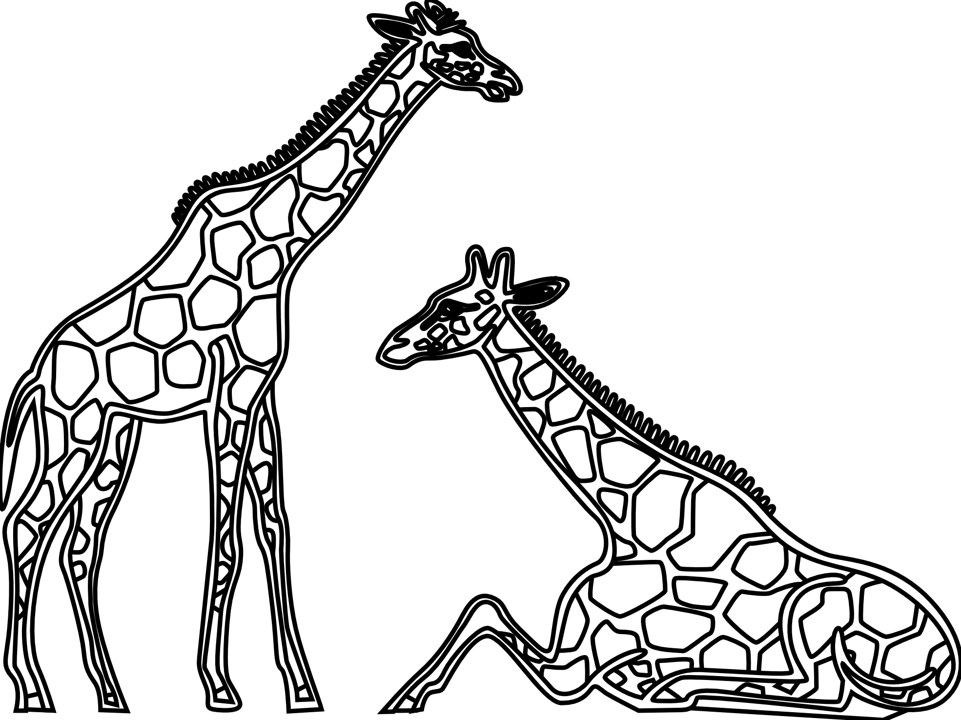 1969x1475 Line Drawing Giraffe - Giraffe Line Drawing