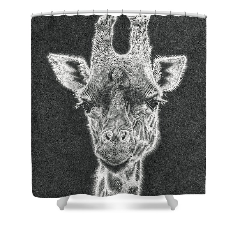 800x800 Giraffe Pencil Drawing Shower Curtain For Sale - Giraffe Pencil Drawing