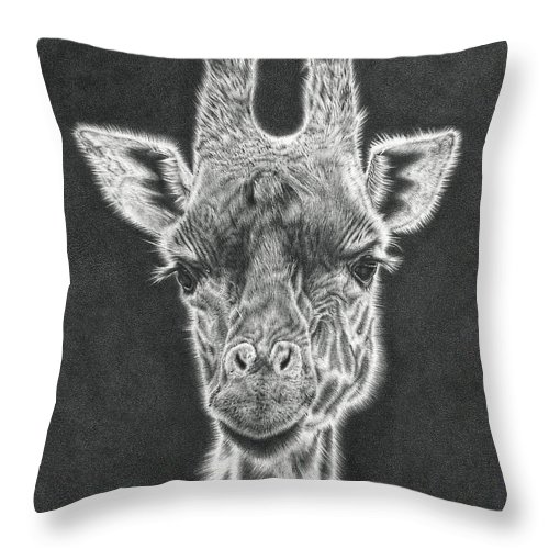 500x500 Giraffe Pencil Drawing Throw Pillow For Sale - Giraffe Pencil Drawing