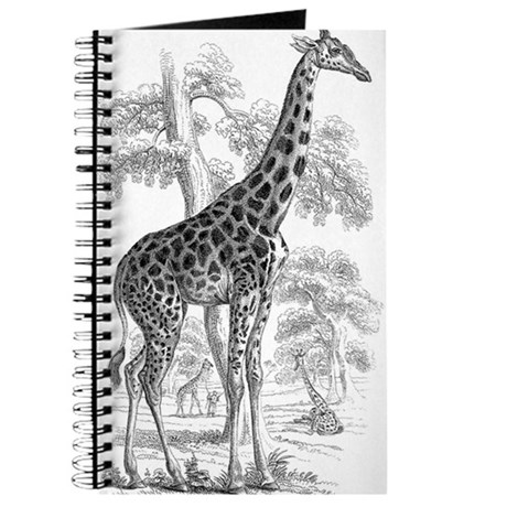 460x460 Giraffe Pencil Drawings Notebooks - Giraffe Pencil Drawing
