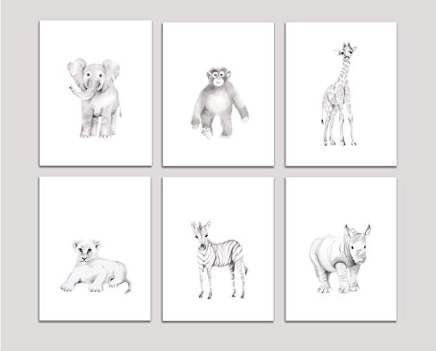 621x500 Safari Nursery Art, Set Of Prints, Pencil Drawing - Giraffe Pencil Drawing
