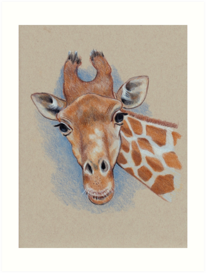 413x549 Cute Giraffe Animal, Colour Pencil Drawing Art Prints - Giraffe Pencil Drawing