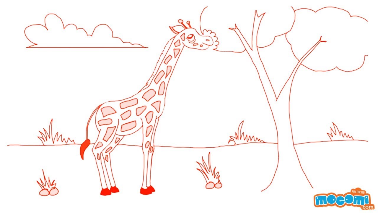 1280x720 How To Draw A Giraffe - Giraffe Pictures Drawing