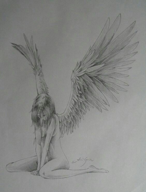 564x738 Anime Girl, Angel, Wings, Sad How To Draw Mangaanime How - Girl Angel Drawing