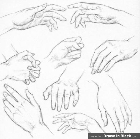 586x582 How To Draw Hands Tutorials, How To's, Step - Girl Hand Drawing