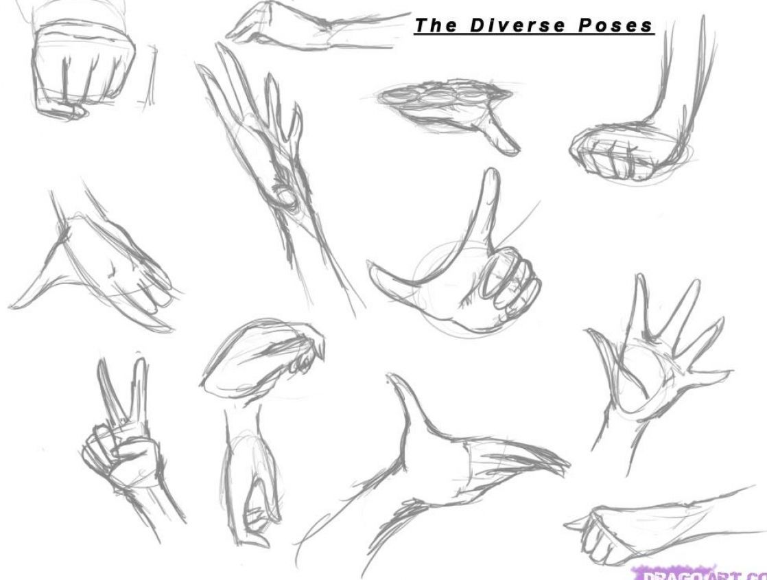 1118x845 Artwork Drawing Anime Hands, Drawings - Girl Hand Drawing