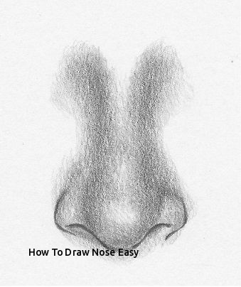 339x404 How To Draw Nose Easy Art Drawing And Girl Artsy - Girl Nose Drawing