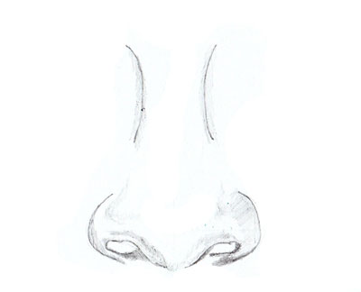 400x324 How To Draw A Human Nose - Girl Nose Drawing