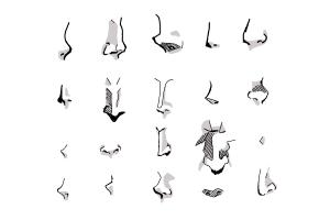 300x200 How To Draw A Nose - Girl Nose Drawing