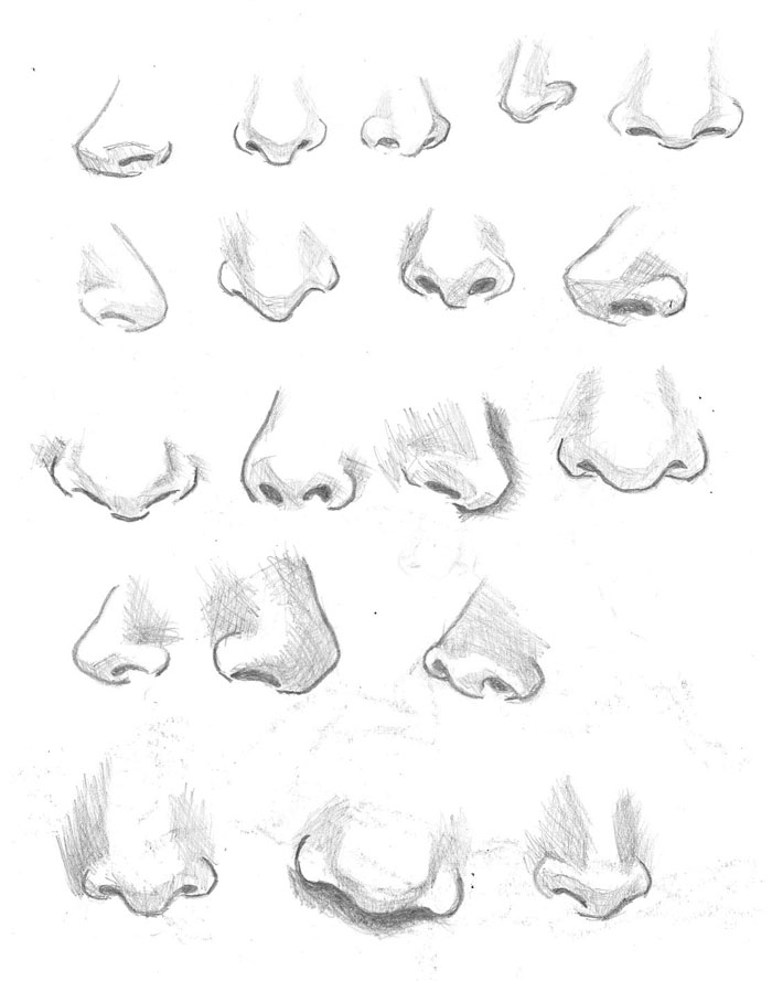 700x889 How To Draw A Female Nose Online Drawing Lessons - Girl Nose Drawing