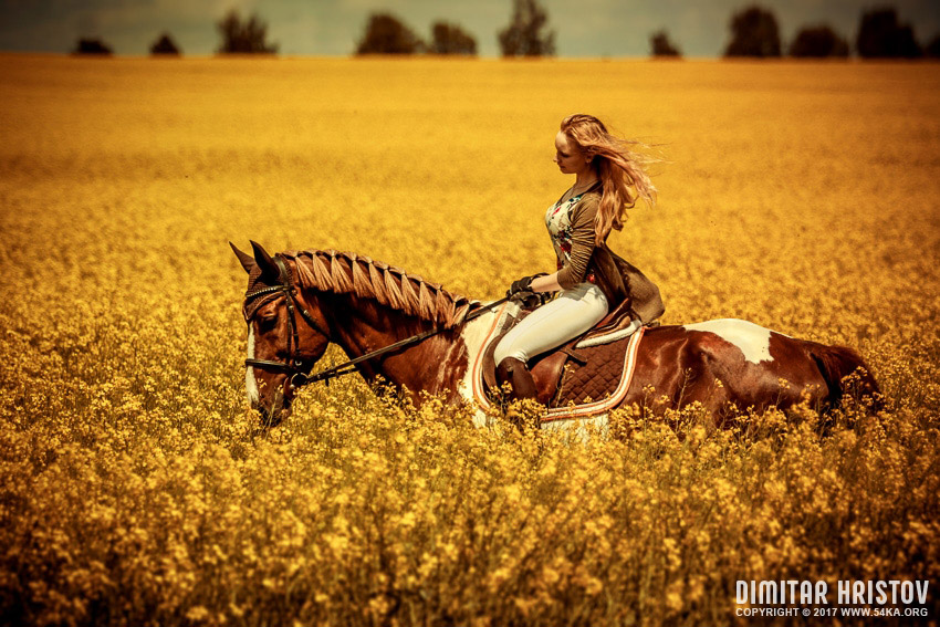 850x567 Girls Riding Horse In Beautiful Meadow - Girl Riding Horse Drawing