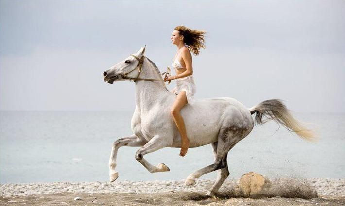 710x425 horse running on beach horse horses, horse girl, woman riding - Girl Riding Horse Drawing