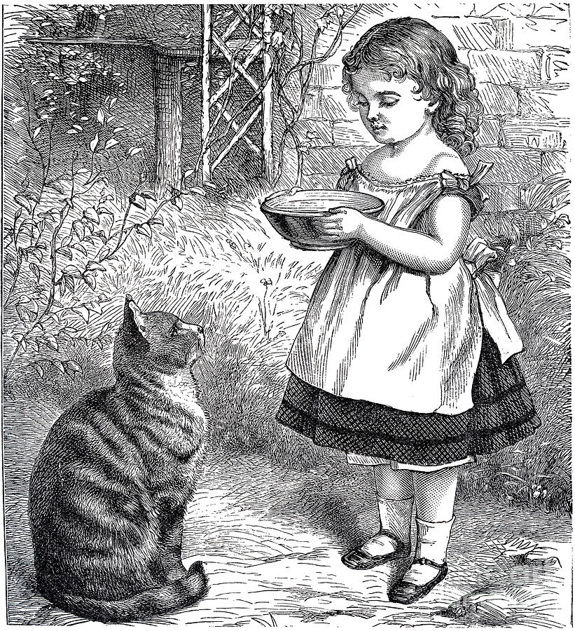 821x900 Little Girl Gives Her Cat Its Dinner Drawing - Girl With Cat Drawing