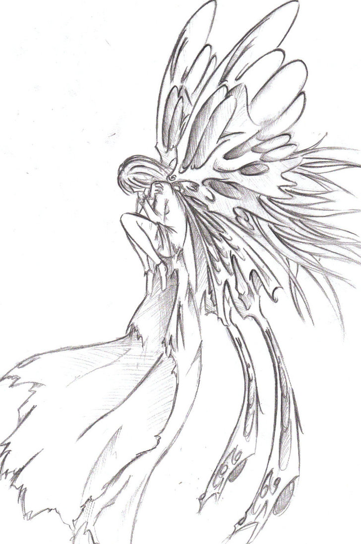 728x1098 Girl With Butterfly Wings Drawing - Girl With Wings Drawing