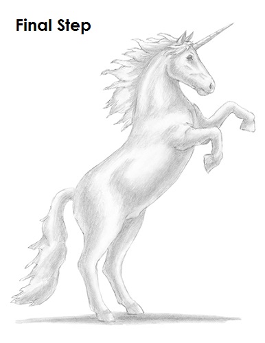 386x500 How To Draw A Unicorn - Give Drawing